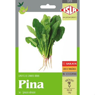 Sementes de Espinafre Híbrido Pina 1g - Isla Sakata em Oferta na Shopee