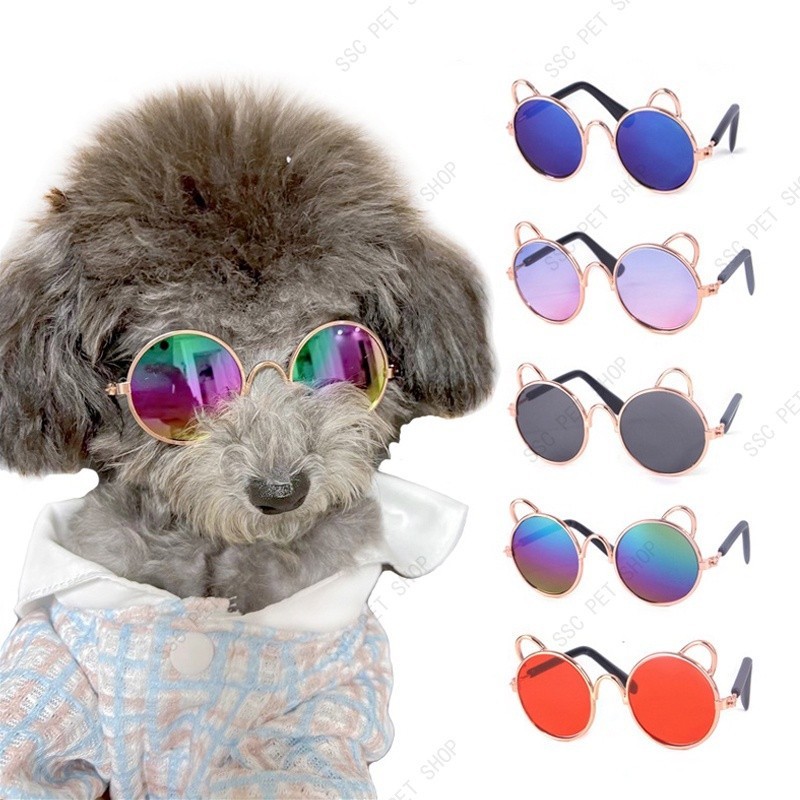 Óculos De Sol Para Gatos Cão Teddy  Personalidade