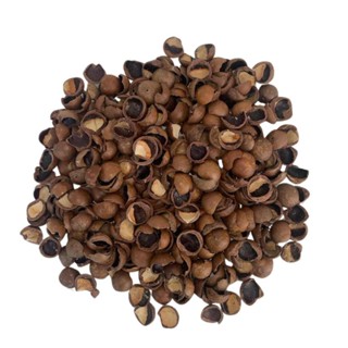 Substrato Casca Macadâmia Pura Premium Para Plantas Orquídeas Flores Jardinagem Nutrição Drenagem Natural em Oferta na Shopee