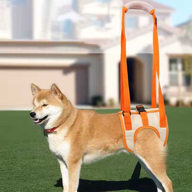Cinto de Apoio Pet Patas Traseiras Suporte de Reabilitação para Mais Mobilidade e Conforto em Oferta na Shopee