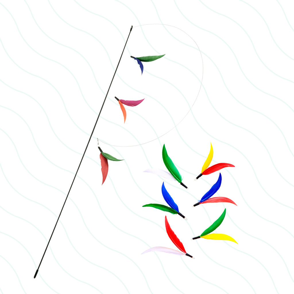 Varinha De 1m Da Pet Games Flying Cat + 9 Iscas Penadas Brinquedo Super Interativo Para Gato em Oferta na Shopee