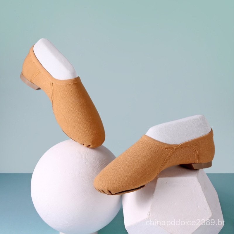 Sapatos De Dança Feminino Ballet Jazz Para Adultos Profissionais em Oferta na Shopee
