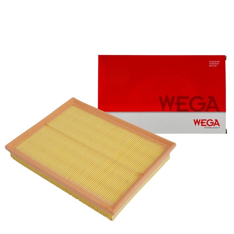 Filtro Ar Palio Siena Strada Wega FAP2831 em Oferta na Shopee