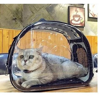 Caixa de Transporte Pet Cães Gatos Passaros Animal Calopsita