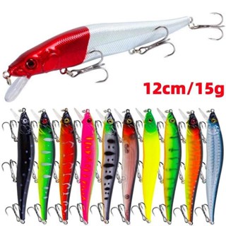 21 Cores Isca de pesca isca submersa isca dura de minhoca 12cm /15g isca plástica falsa equipamento de pesca em Oferta na Shopee