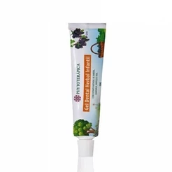 Gel Dental Herbal Infantil - Com extrato natural de amora, camomila, mirtilo e uva - 50g