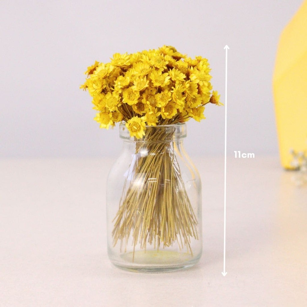 Mini Vaso de Vidro 11cm  Com Folhagem Sempre Viva Amarela em Oferta na Shopee