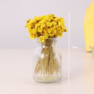 Mini Vaso de Vidro 11cm  Com Folhagem Sempre Viva Amarela em Oferta na Shopee