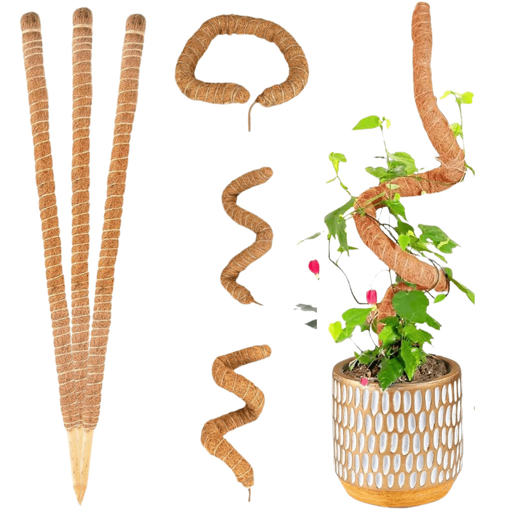 Kit 3 Tutor de Plantas de Fibra De Coco Estaca Flexível 80cm em Oferta na Shopee