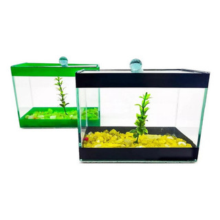 Aquário Retangular Beteira 17x9x13cm 1,9l Peixes Bettas em Oferta na Shopee