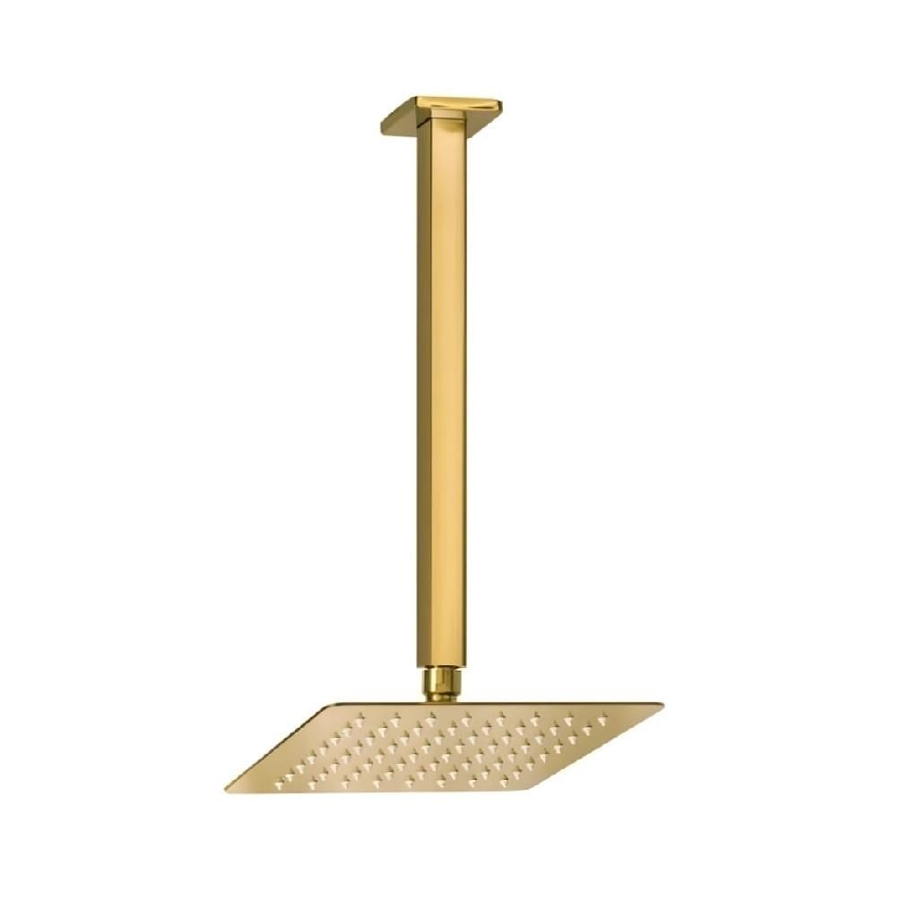 Ducha Chuveiro 20x20 De Teto Inox Com Braço 30 Cm Dourada Gold