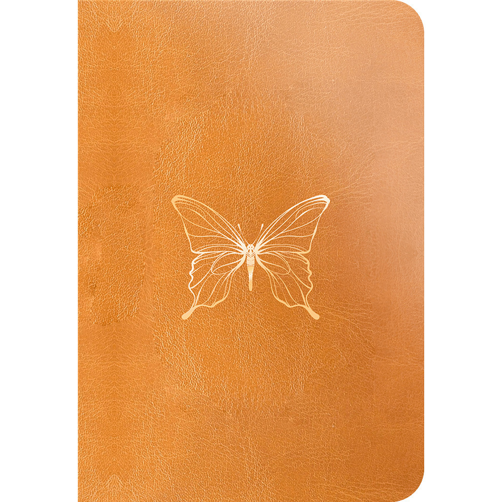 Bíblia Anote Castanho | NVI | Com Espaço Para Anotações em Oferta na Shopee