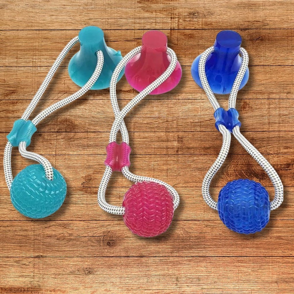 Brinquedo Mordedor Bola com Ventosa Interativo para Cachorro Pet Push Ball