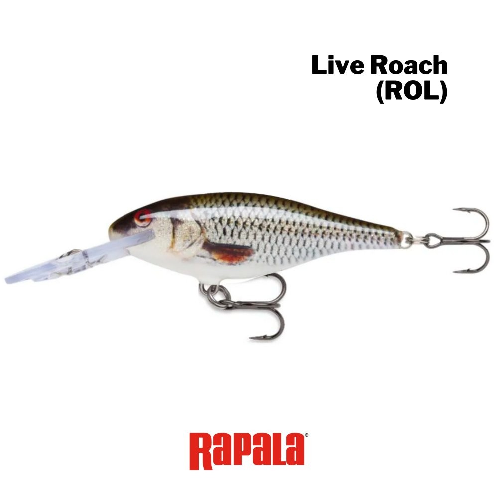 Isca Rapala Shad Rap 7cm - 7g (SSR07) ROL