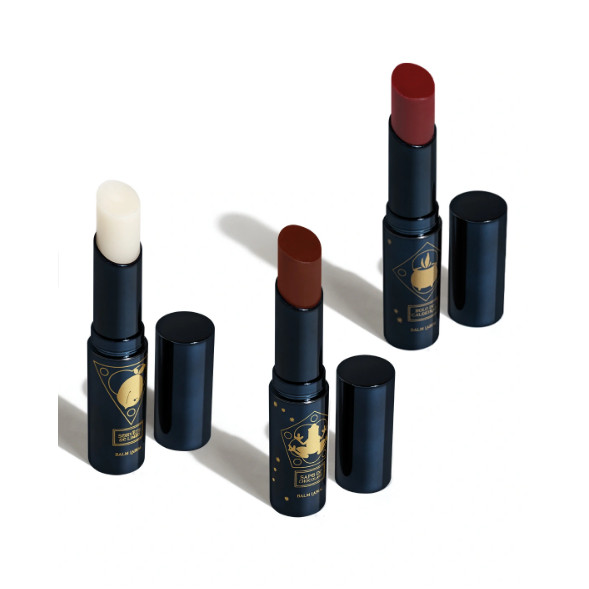 Balm Labial Harry Potter de Quem Disse Berenice  QDB (cor a escolher) em Oferta na Shopee