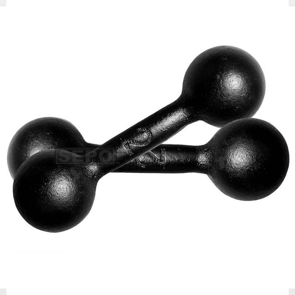 Halter Par 2Kg Redondo Ferro pintado Musculação fisioterapia Preto 2 Un Fisioterapia Exercícios Bola