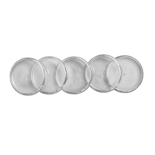 Discos e elástico caderno inteligente borda prata 23mm CI231013