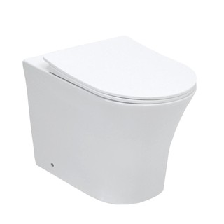 Vaso Sanitário Convencional Tanzanita Pingoo - Branco em Oferta na Shopee