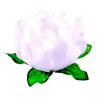 Forminha para Doces Finos - Bela Branco - 30 unidades - Decora Doces - Rizzo em Oferta na Shopee