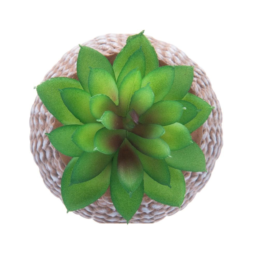 Detalhes do Cachepot Wolff de Cerâmica com Suculenta Sisal 9,5cm x 9,5cm