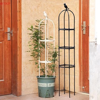 1 Conjunto De Gaiolas De Suporte De Jardim Para Plantas De Escalada , Treliça Faça Você Mesmo , Vaso De Videiras De Flor em Oferta na Shopee