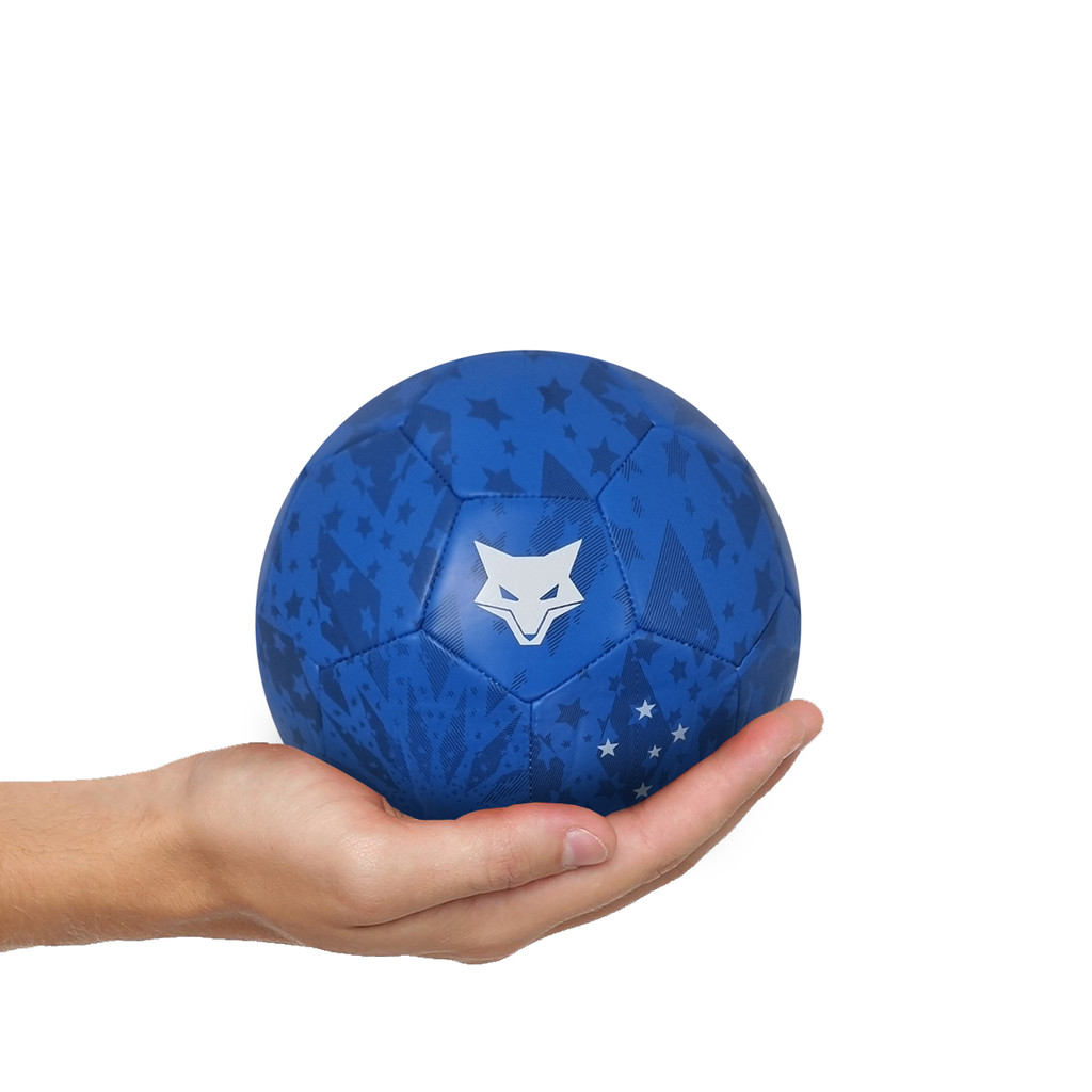 Mini Bola Oficial Cruzeiro Futebol CRU-MINI-1 - Sports & Outdoors
