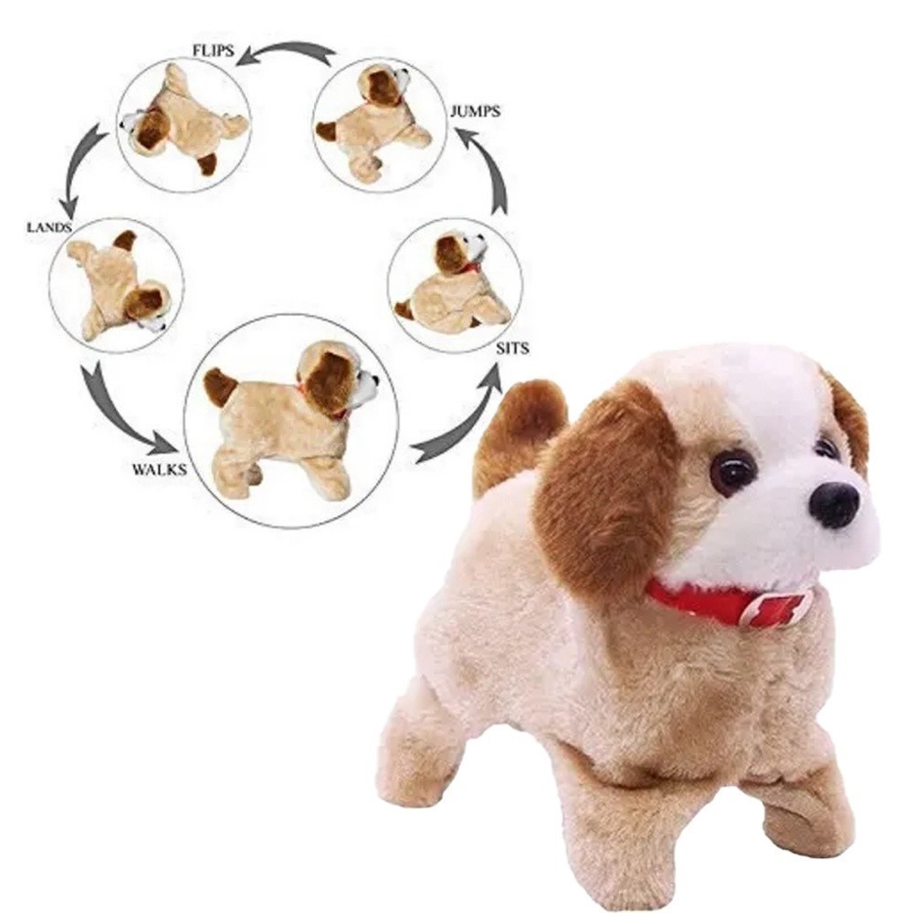 Pula que Pula: Guia Completo e Onde Comprar | BuscaProdutos