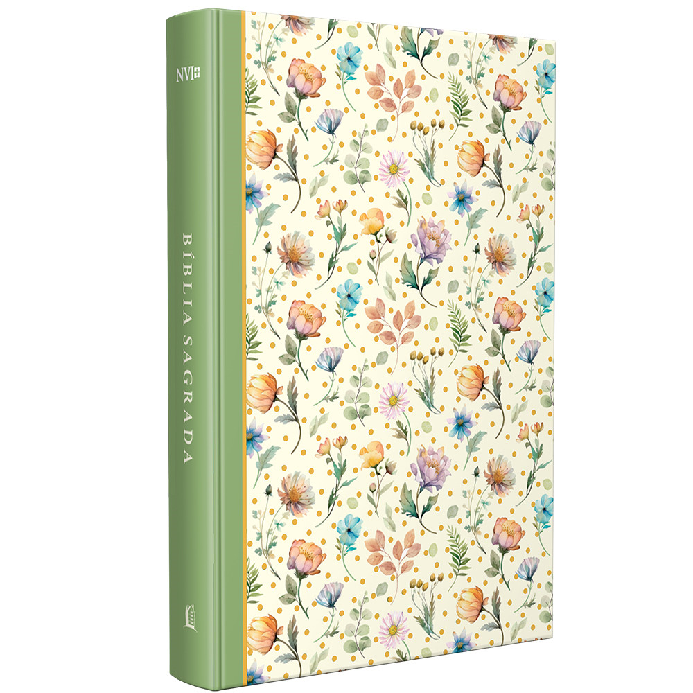 Bíblia Sagrada | NVI | Ilustrada Capa Dura Recordações