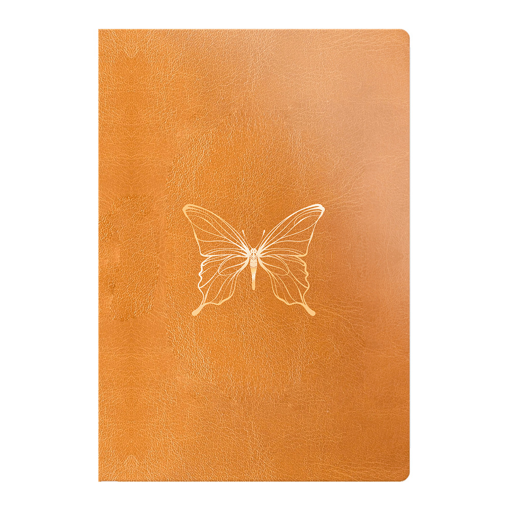 Bíblia Anote Letra Grande: Onde Comprar | BuscaProdutos