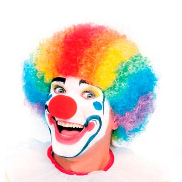 Peruca Palhaço Colorida + Nariz Para Fantasia Cosplay Carnaval em Oferta na Shopee