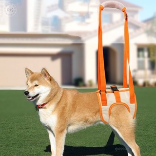 Cão De Estimação Cinto Auxiliar De Perna Hind Cinta Perna Cinto De Recuperação Para Recuperação Deficição Ajudar Andar Arnês em Oferta na Shopee