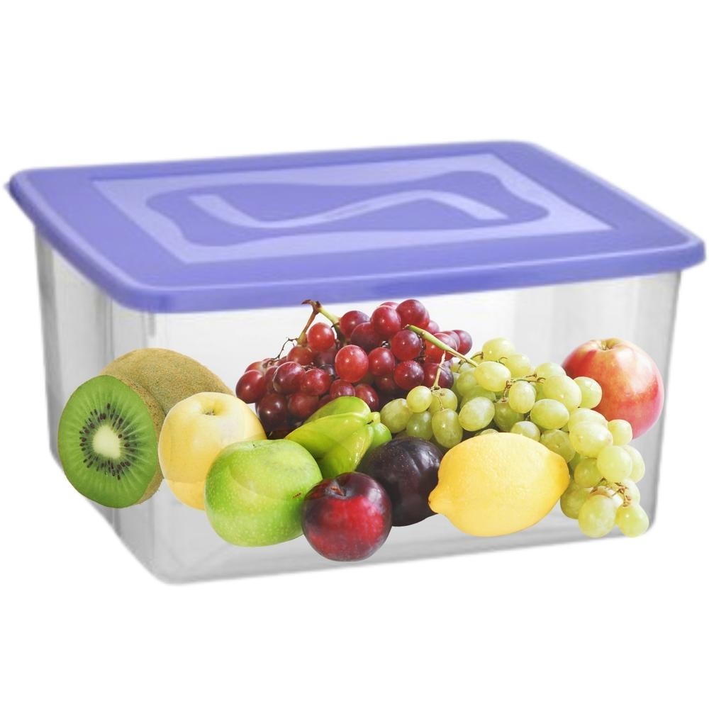CAIXA PLASTICA TRANSPARENTE ORGANIZADORA TOPA TUDO 31L AÇOUGUE COZINHA