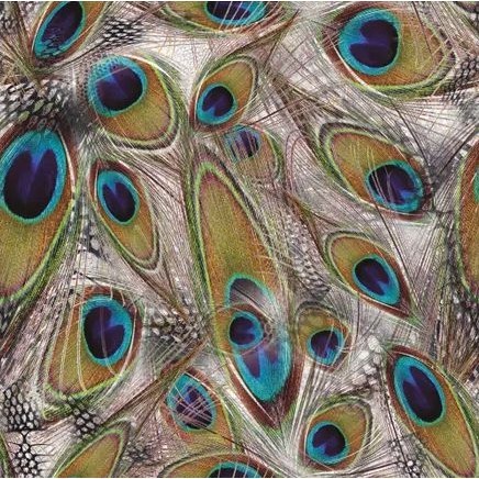 Saco Decorado de Presente Pavão - 50 unidades - Regina - Rizzo Embalagens