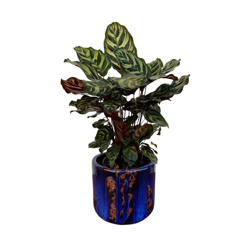 Vaso Cachepot de Mesa 20cm Redondo de Cerâmica Texturizada