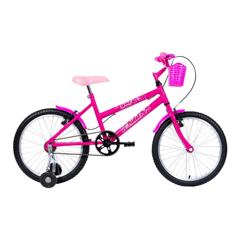 Bicicleta Aro 20 Infantil MTB Girl Com Roda Lateral Tridal Bike