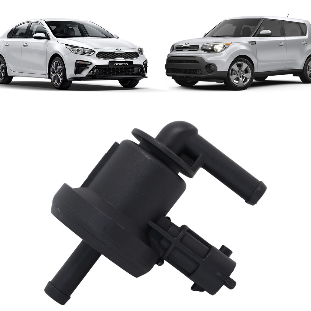 Válvula Canister Hb20 I30 Cerato Soul 1.6 290102b000