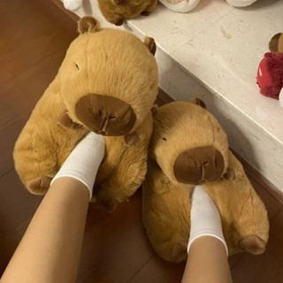 Novos Chinelos Capybara De Inverno Sapatos De Algodão Quente em Oferta na Shopee