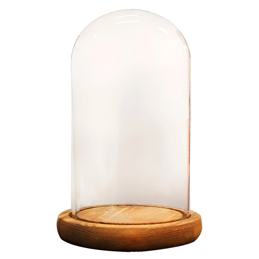 Cúpula Redoma de Vidro Decorativa 12x20cm - Base Madeira Clara - 1 unidade - Rizzo em Oferta na Shopee