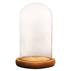 Cúpula Redoma de Vidro Decorativa 12x20cm - Base Madeira Clara - 1 unidade - Rizzo