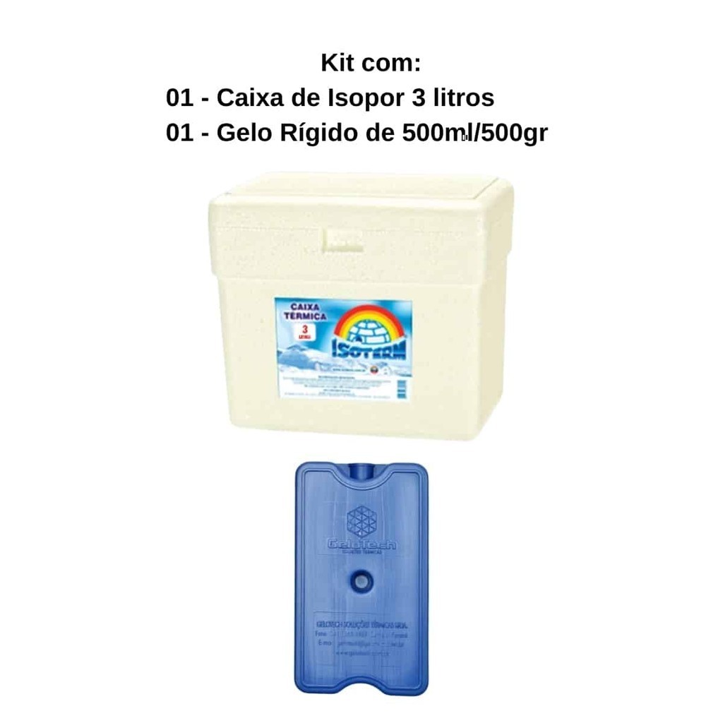 Caixa Térmica de Isopor 3 litros + 1 Gelo Reutilizável GR500 500ml em Oferta na Shopee