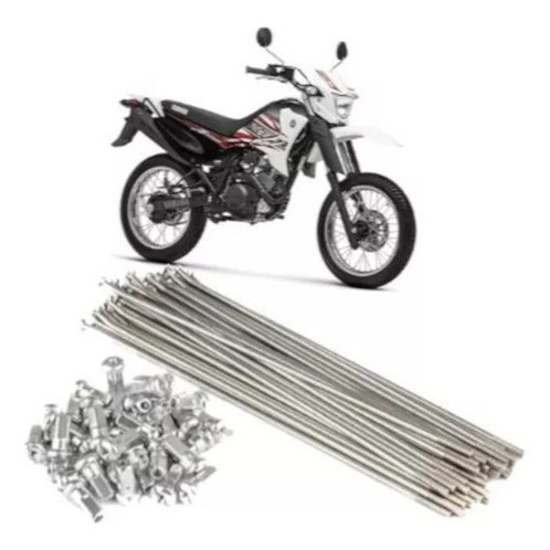 Jogo De Raio Traseiro  Cromado Xtz-125 Motard