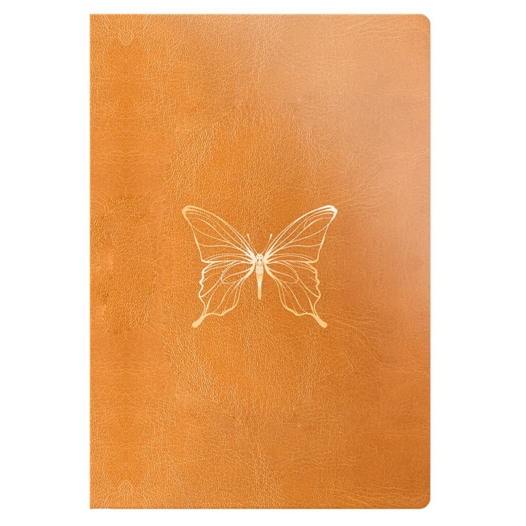 Biblia Anote | Letra Grande | NVI | Castanho | Editora Geográfica em Oferta na Shopee