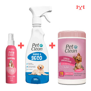 Kit Sem Enxágue Banho A Seco + Lenço Umedecido + Perfume