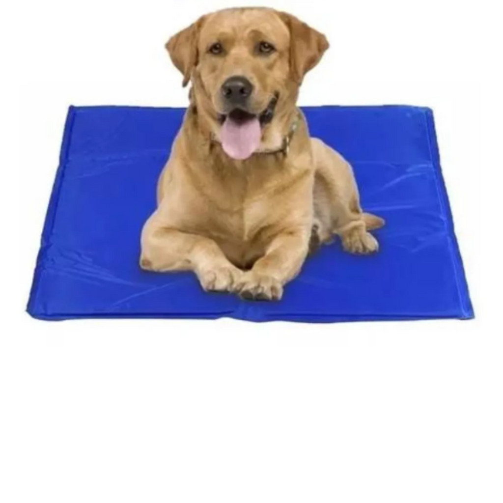 Tapete Gelado Refrescante Para Pet Cachorro Gato Pet 50x60-M