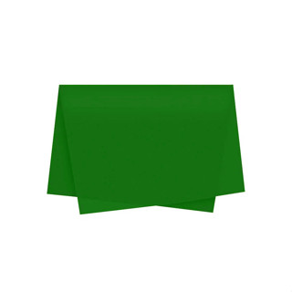 Papel de Seda - 50x70cm - Verde Bandeira - 10 unidades - Rizzo em Oferta na Shopee