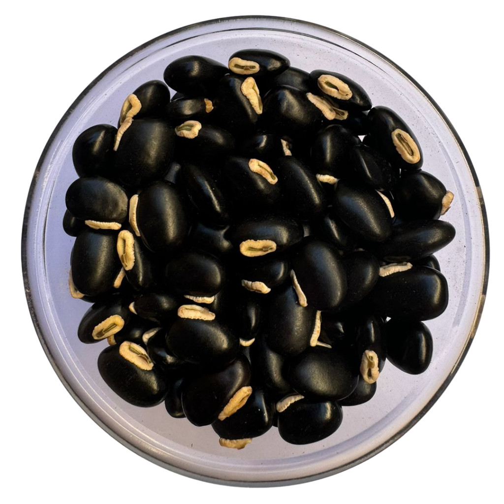 Semente de Mucuna Preta - 1Kg