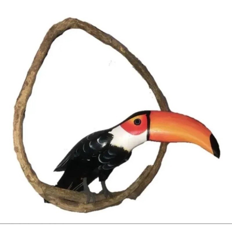 Tucano em Madeira no Cipó