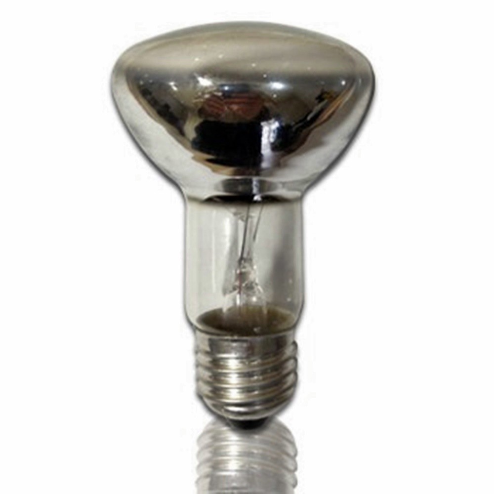 Refletor 40w Led: Onde Comprar | BuscaProdutos