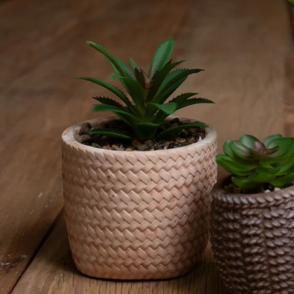 VASO CACHEPOT DE CERÂMICA COM SUCULENTA TRANCADO 10CM X 10CM X 15CM