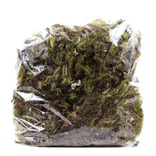 Musgo Verde Pc 2 Lts Para Decoração Flores Secas em Oferta na Shopee